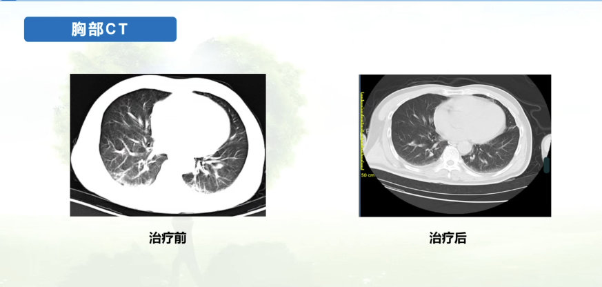 微信圖片_20250815102941_43